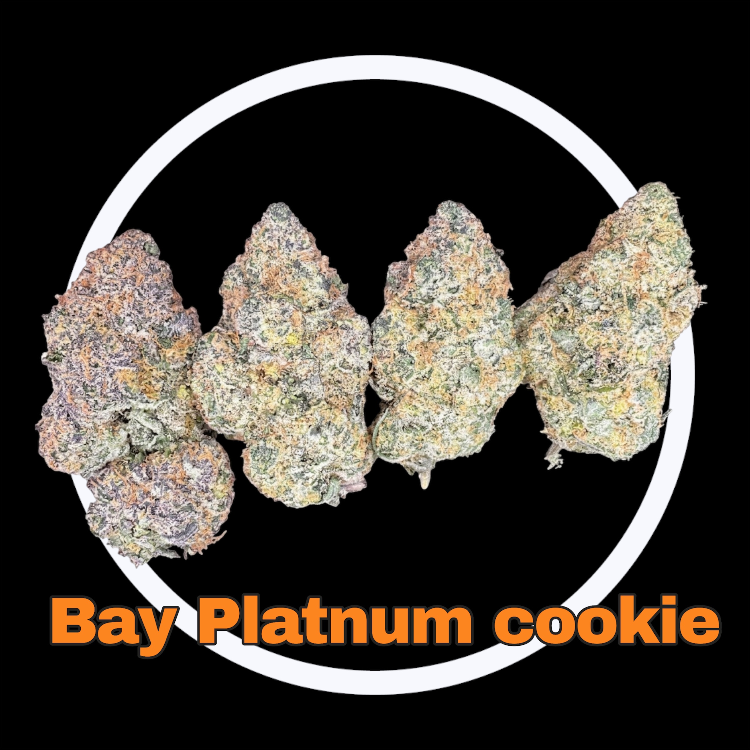 20-03-26 11-22-14pm.jpg